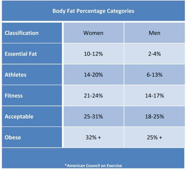 Body Fat Percentage Different groups have different body fat expectations: Typical male is 8 to 24 percent; athletes 5 to 10 percent Typical female