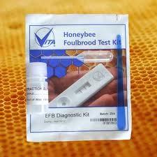 American Foulbrood field Identification Pupal Tongue Test Kit 10 American