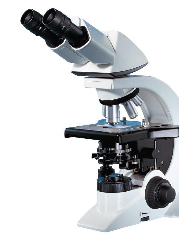 Principles of the Compound Light Microscope Magnification: Ocular and objective lenses of compound microscope (total mag.?) Resolution: Ability of lens to.