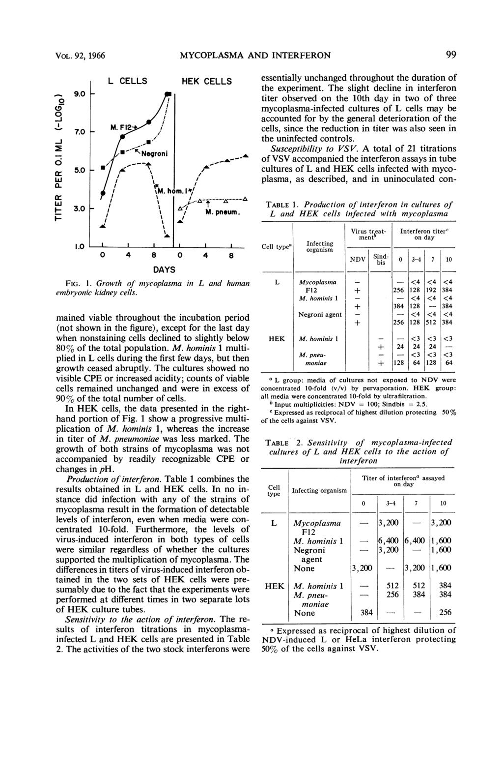 VOL. 92, 1966 MYCOPLASMA AND NTERFERON 99 0 CD 0-J %-O 9.0 k 7.0 H 5.0 H 3.0 H 1.0 L M. CELLS - w a. irt/i %C \ \ /'A : \ HEK CELLS essentially unchanged throughout the duration of the experiment.