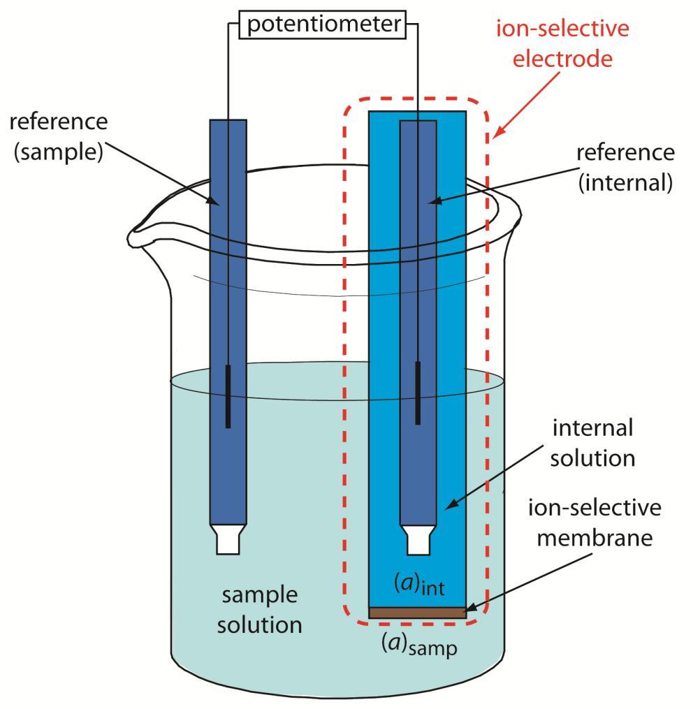 METHOD Electrolytes are measured by a process known as potentiometry.