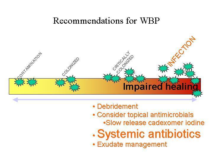 Bacterial Balance Debridement Exudate Management Infection consider antibiotics if