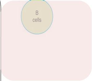 Median % Change from Baseline (Q1, Q3) Protein (UPCR) Retinol Binding Protein Albumin (UACR) 76 75 Beta2microglobulin 133 168 E/C/F/TAF E/C/F/TDF 51 50 24 20 25 9 7 0-3