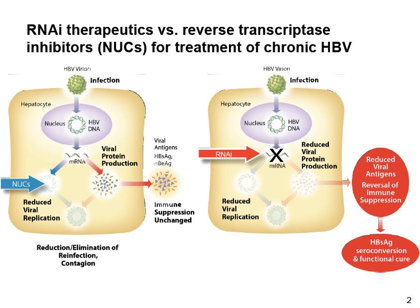 ARC 520 Liver targeted Reduce cccdna derived HBV