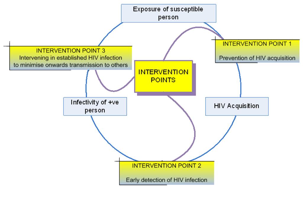 Figure 6: Intervention points for HIV prevention Table 1: Components of HIV Prevention Interventions Intervention point 1 (Preventing HIV acquisition) Awareness raising (Peer education; social