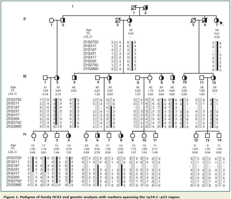 Origins of PCSK9 2 French families with high