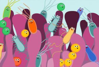 Why are we seeing this increasing interest in Prebiotics? The gut microbiome!