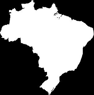 Brazil: demographic characteristics Population: 190 million, with a 3 million children birth cohort PCV10 was introduced into the Brazilian Immunization Program in a 3+1 schedule for children <2