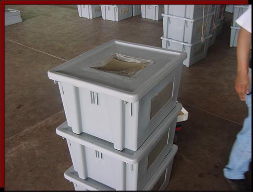 5.2 Procedures for Chilled Adults 5.2.1 Setting up for fly emergence STEP III-b OF PROCESS IN FLOW CHART In any chosen container for packing the pupae, there should be a minimum resting area of 0.