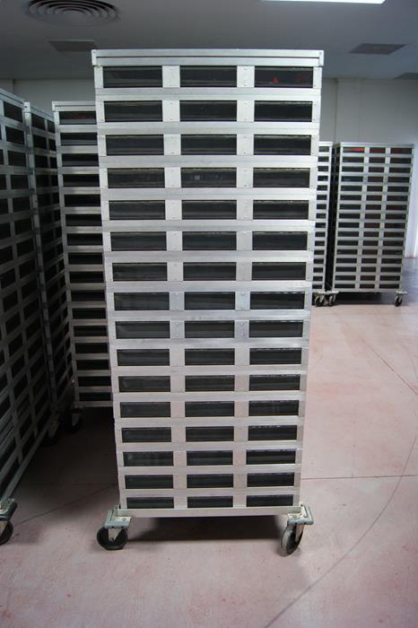 The Mexican tower type was designed for Anastrepha ssp. This tower uses a higher aluminium rack with screens on the four sides, holding 18 shelves per tower.