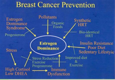 bloating Breast tenderness Fibrocystic breasts Irritability, anxiety Weight gain in hips Bleeding changes Headaches Uterine fibroids Cold body temp Fatigue Estrogen Metabolism & Elimination MUST