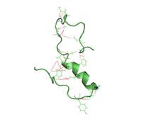 AD: Insulin, Amyloid Beta (Aβ) & Neuropathology Aβ Peptides of amino acids found in AD.