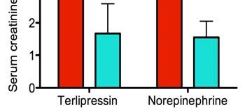 Norepinephrine vs.