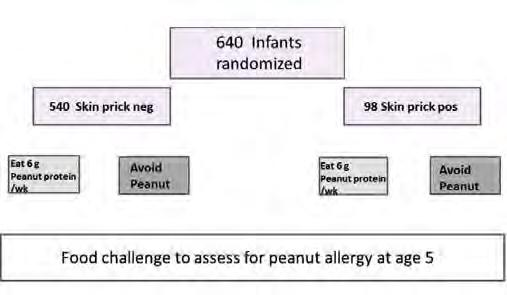 Learning Early About Peanut Allergy (LEAP) Du Toit G, Roberts G, Sayre PH, et al.