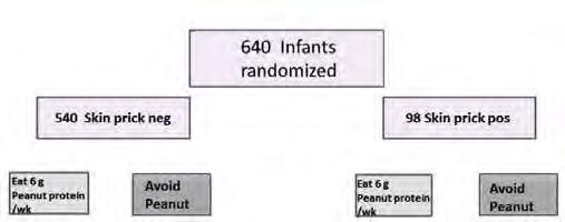 N Engl J Med 372: 803-813, 2015 Learning Early About Peanut Allergy (LEAP) 1.9% 13.7% 10.6% 35.