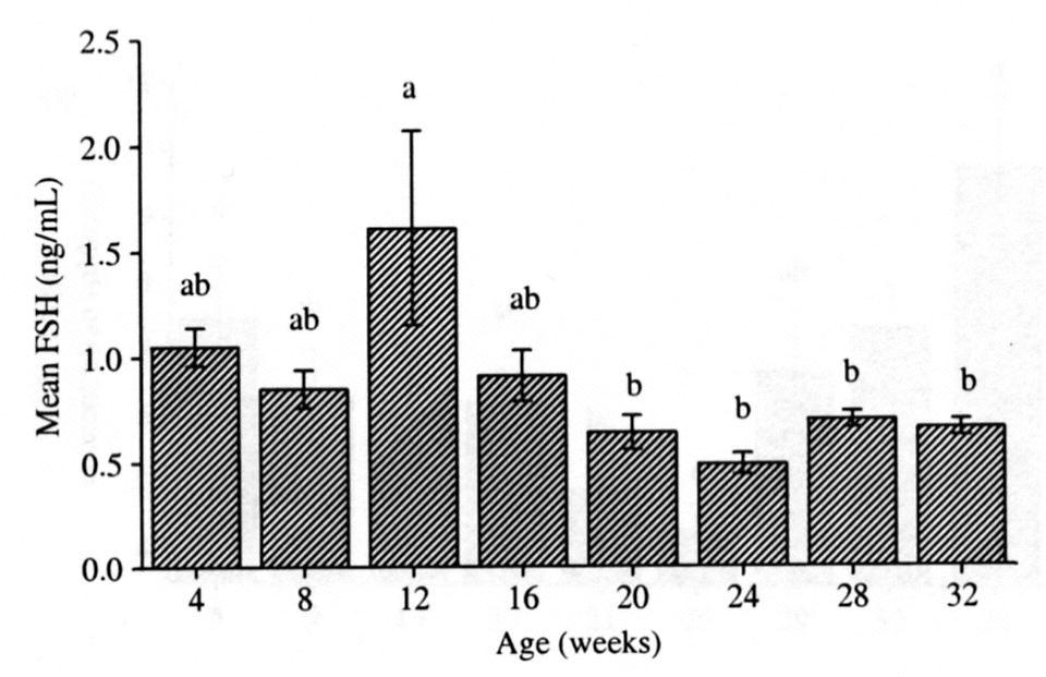 The main basis of the calfhood effect on age at onset of puberty is gonadotrophin secretion from 8 to 16 weeks of age LH (ng/ml) 1.2 1.0.8.6.4 LH in early and late maturing bull calves Evans, 1994 Early puberty Late puberty.
