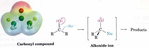 Like carbonyl groups, nitriles are strongly polarized The nitrile carbon atom is electrophilic and undergoes attack by nucleophiles 1.