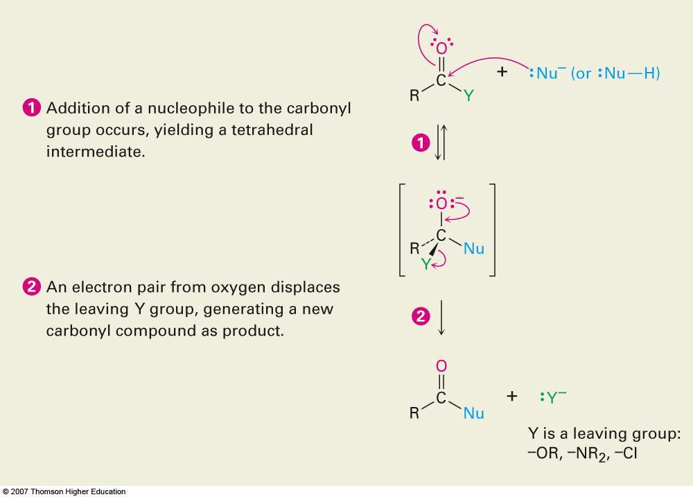 21.2 Nucleophilic Acyl Substitution Carboxylic acid derivatives have an acyl carbon bonded to a group Y that can leave A