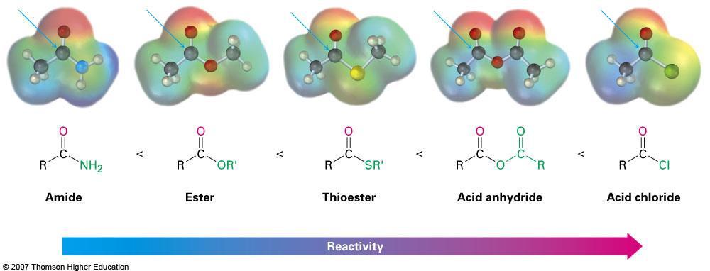 Relative Reactivity of Carboxylic Acid Derivatives Nucleophiles react more readily with unhindered carbonyl groups More electrophilic carbonyl