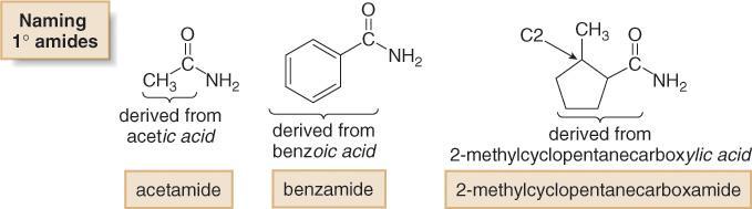 Amides: Nomenclature All 1 amides are named by replacing