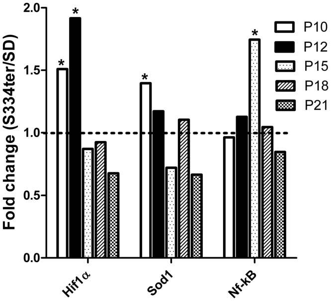 Figure 1. Relative expression of the oxygen stress-induced Hif1a, Sod1 and Nf-kB genes in S334ter-4 Rho retinas at different ages.