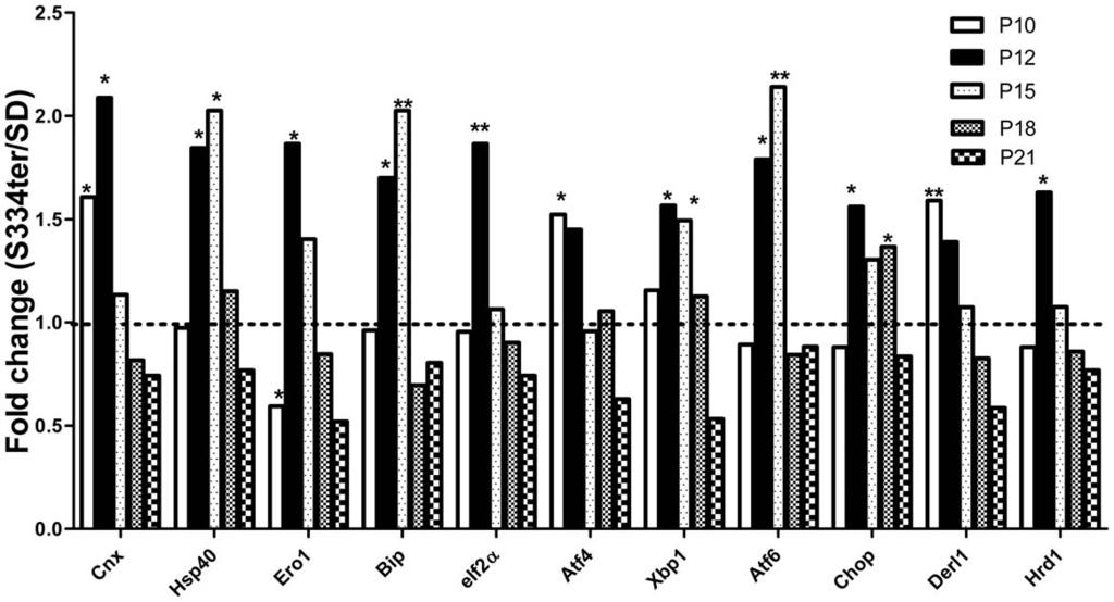 Figure 2. Relative expression of ER stress- and ERAD-related genes in S334ter-4 Rho retinas. The UPR gene expression was altered in S334ter-4 RHO retinas.