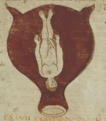 Illustrations figures in the Brussels MS, on pages 55-60 inclusive, ten of which depicted a single fetus in utero,