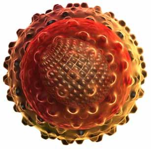 Immunodeficiency Virus HCV