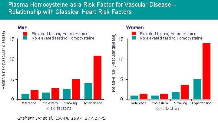 This study found that the increased fasting thcy level showed supra-additive effects on risk in both smokers and hypertensive subjects, especially in women.