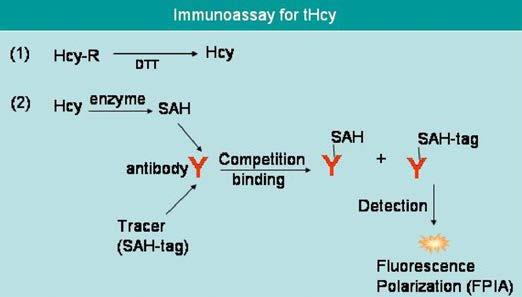 2. Immunoassay Method: The immunoassay developed by Axis-Shield is based on the specific binding of an a tibody towards the homocysteine enzyme conversion product, SAH.