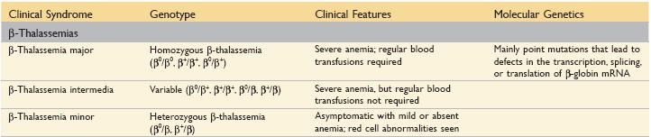 Pathogenesis: β Thalassemia β0: no β-globin chains are