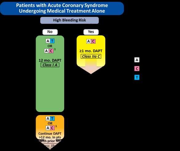 Algorithm for dual antiplatelet therapy (DAPT) in patients