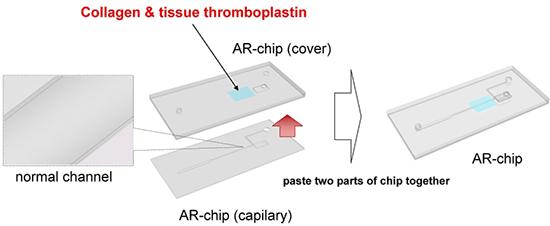 increase in the capillary channels PL-chip AR-chip