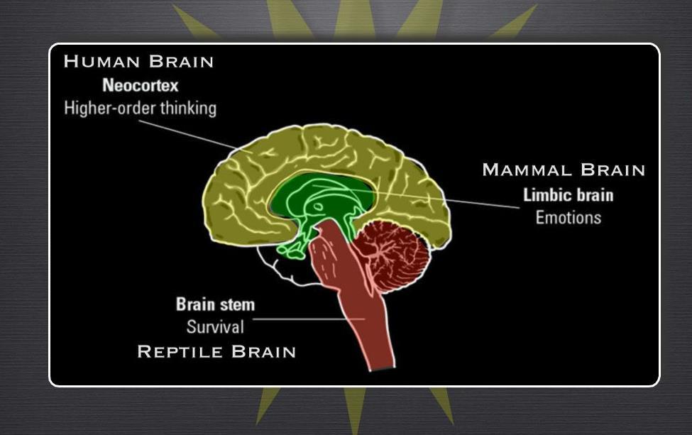 The Triune Brain: