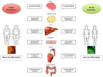 Microbiota altered by RYGB and SG contribute to several metabolic outcomes that influence: body weight adiposity lipids