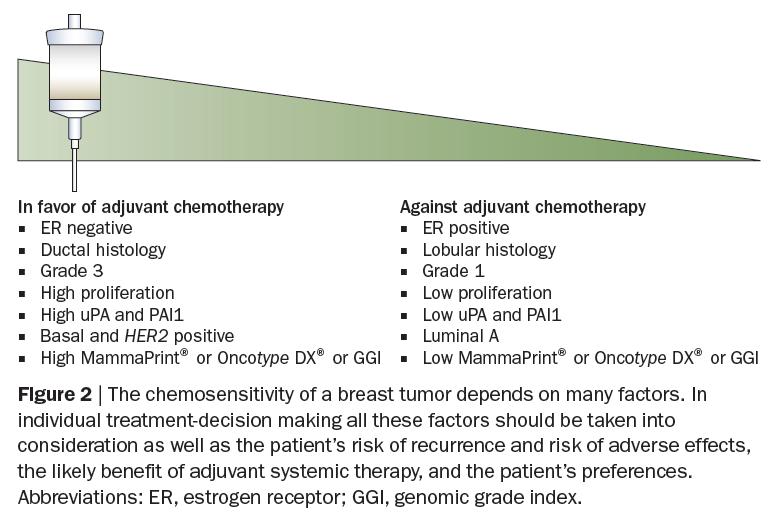 EARLY BREAST CANCER: WHO CAN AVOID ADJUVANT CT?
