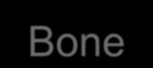 Bone Disease in