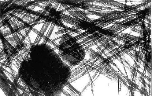 Slika 5. Čestica sepiolita slikana skenirajućim elektronskim mikroskopom, preuzeto iz Galan (1996).