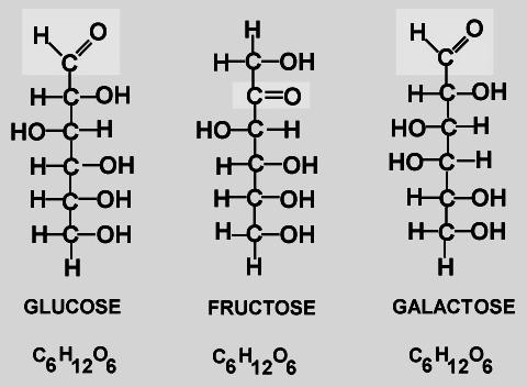 HYDROLYSIS OF SUCROSE: + H 2 O WHAT DO ATHLETES EAT THE DAY BEFORE A BIG GAME? III.