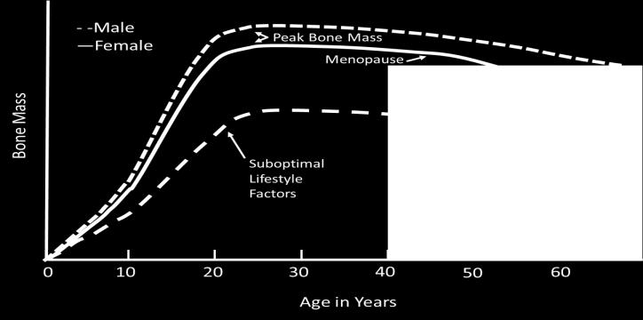 risk per 1SD below age & sex