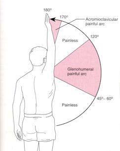 Evaluation of Shoulder