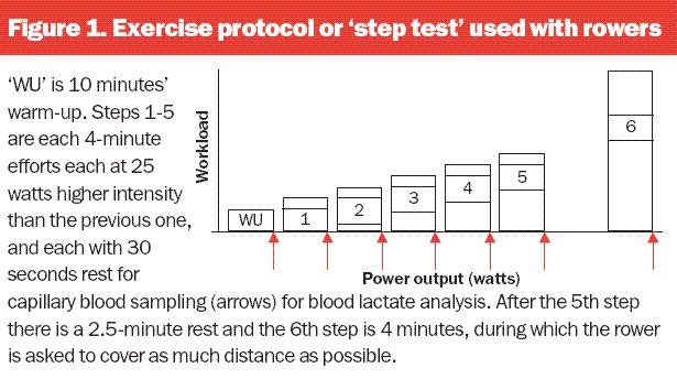 Figure 1. Exercise protocol or step test used with rowers Figure 2.