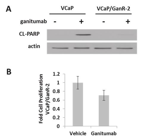33 maintained in 500 nmol/l ganitumab. Treatment of parental, passage-matched VCaP cells with ganitumab significantly decreased cell proliferation compared to VCaP/GanR (Figure 10b).