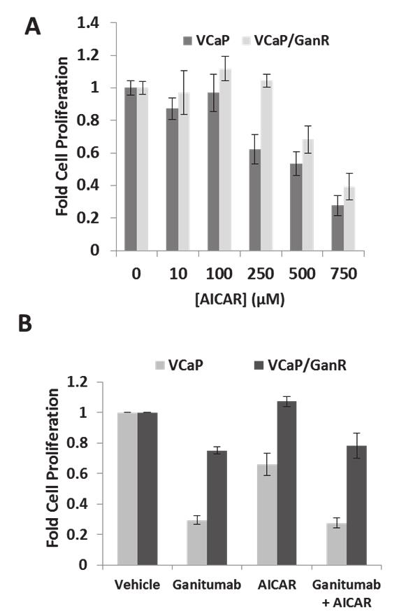 45 inducing effects of ganitumab in VCaP/GanR (Figure 19c).