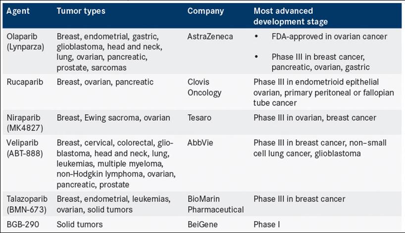 PARP inhibitors in development Source: NIH Clinical Trials registry. www.clinicaltrials.gov. See more at: http://www.onclive.