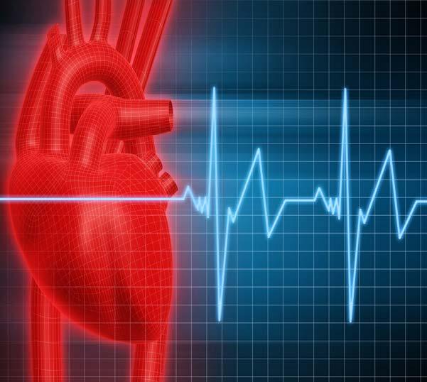 Human Factor The Physiology of Disaster Heart rate is a good indicator of the level of affect 115 bpm - lose fine motor skills 145 bpm - lose complex motor skills,
