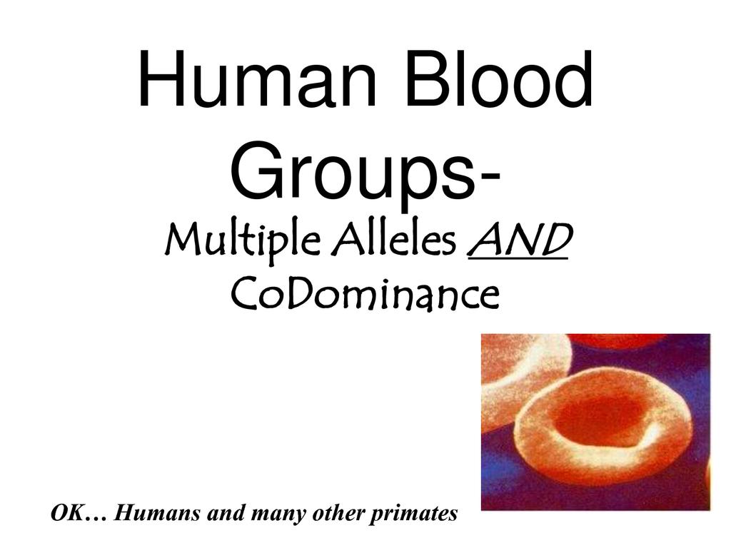 Multiple Alleles ABO blood group gene Example: Human Blood
