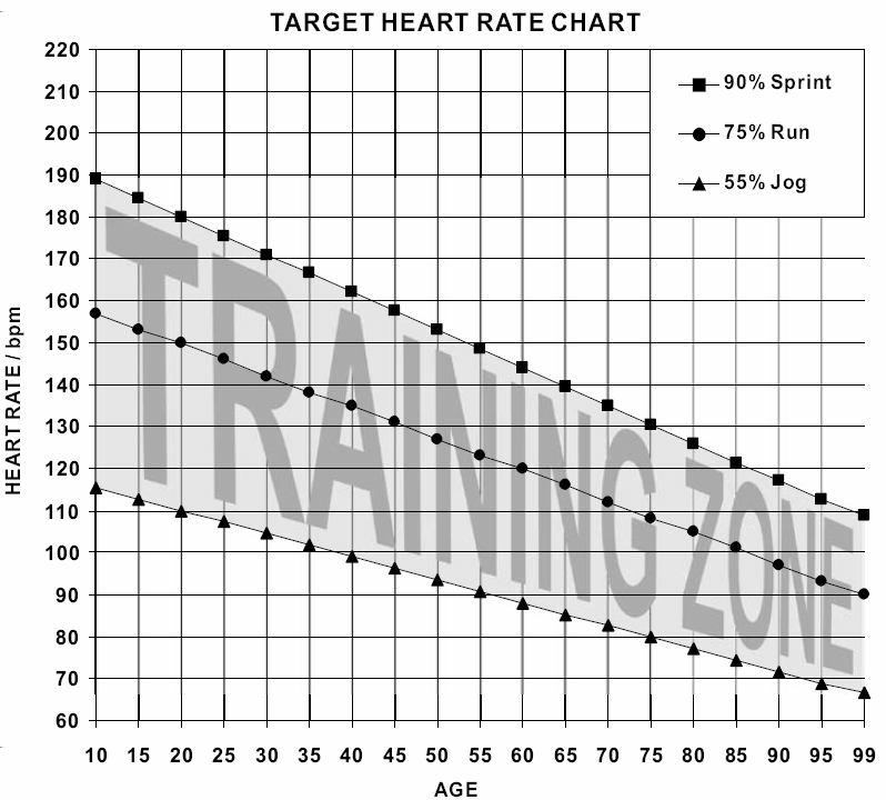 CALCULATING TARGET HEART RATE Your optimal heart rate range during exercise is referred to as your training zone.