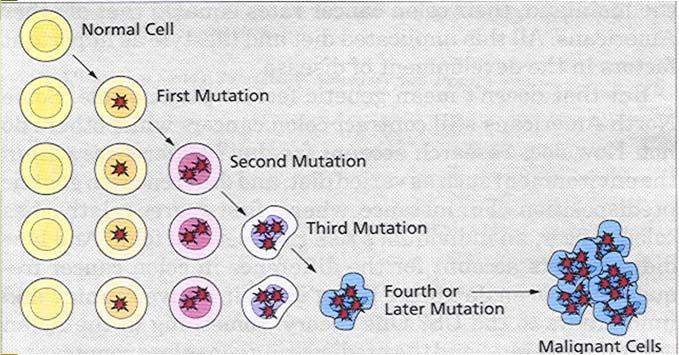 Disease-Associated Mutations A mutation is a change in the normal base pair sequence ALL CANCER IS GENETIC