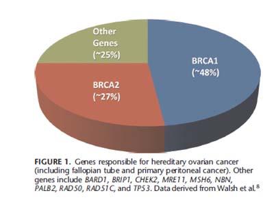 Hereditary Endometrial Cancer 5% of women with a diagnosis of uterine cancer carry a hereditary gene mutation